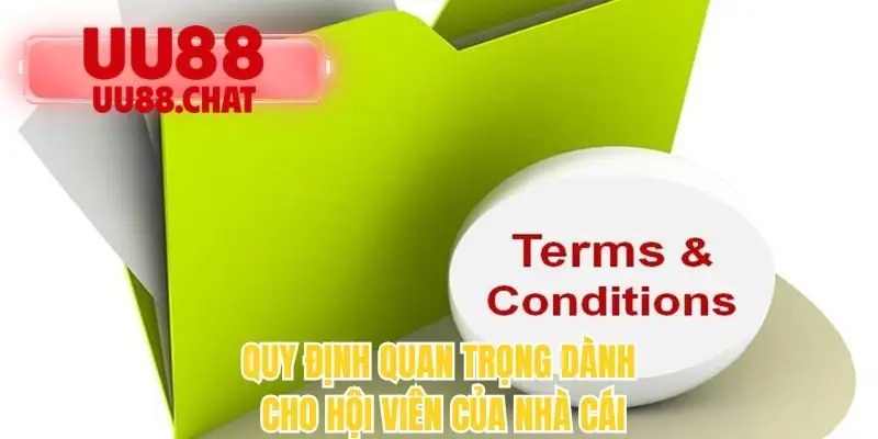 Điều Khoản Điều Kiện UU88 - Nguyên Tắc Vận Hành Nhà Cái - BETMIRA69
